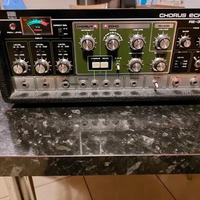 Roland Re-301 for sale