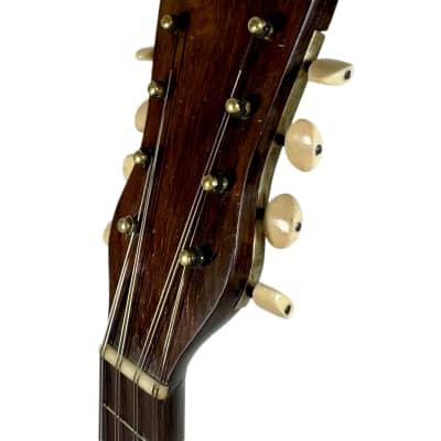 Pasquale Vinaccia Mandolin from 1883 image 14