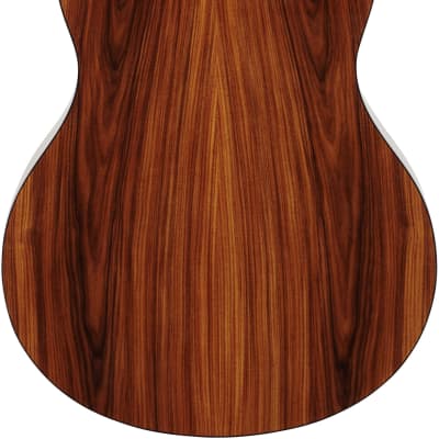 Washburn Bella Tono Elegante S24S Acoustic Guitar, Natural image 7