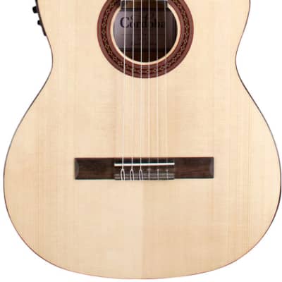 Taylor NS24ce-LTD Nylon String Acoustic-Electric Classical | Reverb