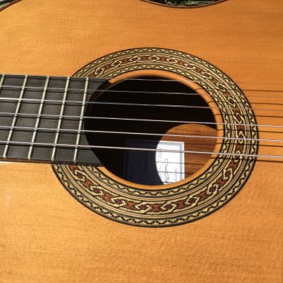 Ashley Sanders Classical Guitar Lattice Braced Cedar / Bolivian Rosewood - New Photos! image 5
