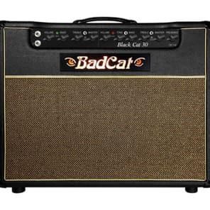 Bad Cat Black Cat 30 30-Watt 1x12" Guitar Combo