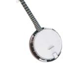 Savannah SB-080 | 18-Bracket Resonator Banjo. New with Full Warranty!