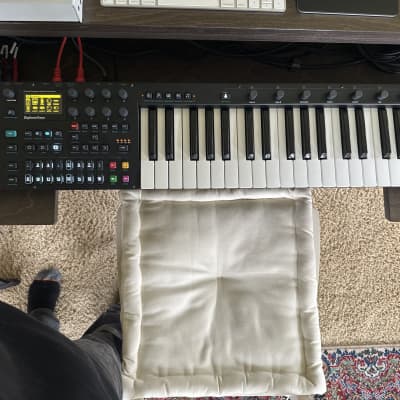 Digitone keys with dust cover