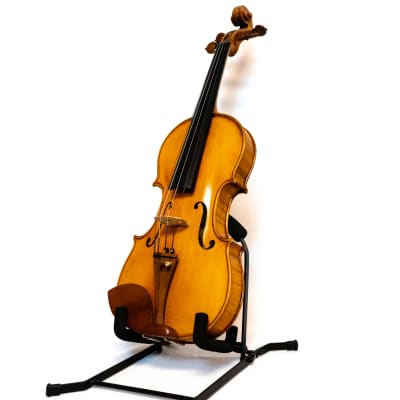 Stentor amati online model violin