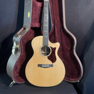 【Martin】GPCPA1 Plus Martin GPCPA1 Plus | Solid East Indian rosewood | Martin