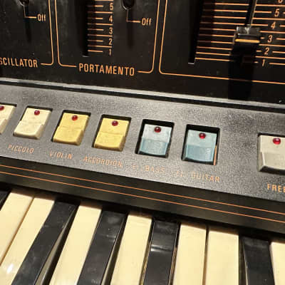 Farfisa Soundmaker 61-Key String Synthesizer 1979 - 1981 - Natural / Black, recently serviced, fully functional, U.S. 120V! image 9