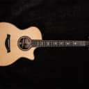 Taylor Guitars 914ce V-Class Grand Auditorium Acoustic-Electric Guitar (New York, NY) (NOV23)