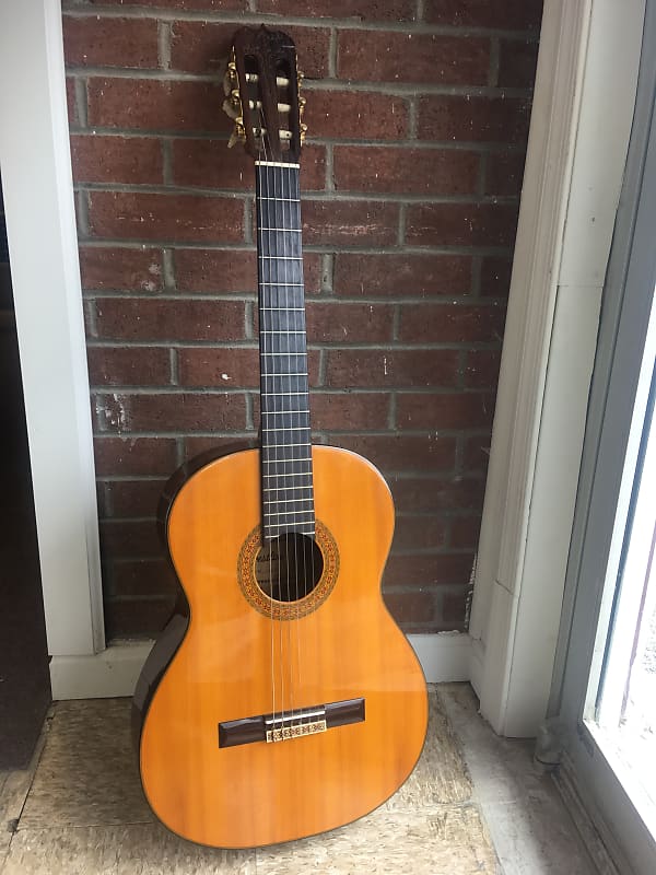 Vintage Crestline CR 100 Reverb