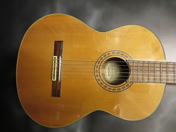 Epiphone C 40