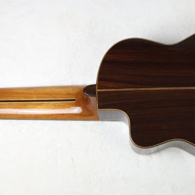RARE Lucio Nuñez 10-String Classical Harp Guitar w/Cutaway, Arm Rest, Sound Port, Cedar/Cocobolo, TKL Hardshell Case image 4