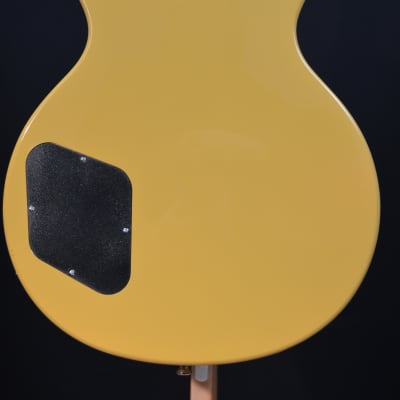 Epiphone Les Paul Special 2021 - TV Yellow w/ Roadrunner HSC image 11