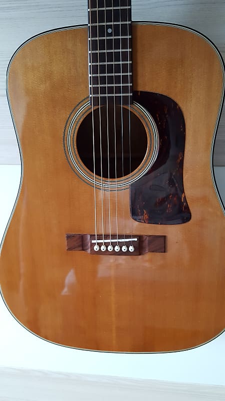 アコースティックギターWashburn d-26s クラックありのためジャンク アコースティックギターWashburn d-26s クラックありのためジャンク