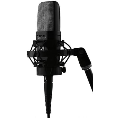 Warm Audio WA-14 Multipattern Brass Capsule Condenser