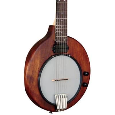 Gold Tone Model EB-6 - Electric 6-string Guitar Banjo Banjitar w/Gig Bag - NEW image 2