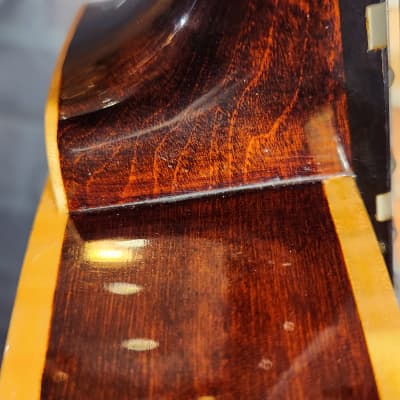 Eastman Otto D'Ambrosio El Rey Hollowbody Electric Guitar - Original Hard Case-Solid Wood Beauty image 13
