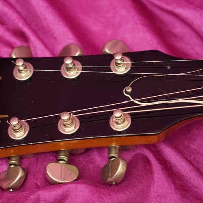Gibson ES-335 Limited Edition @ Nashville Custom Shop RARE Double Black Binding image 5