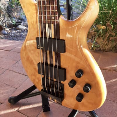 Tobias Toby Pro 5- Maple/Wenge Neck Thru Solid Figured Maple for sale