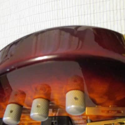 Bunker 5-string bass w/Fender hardshell case image 15