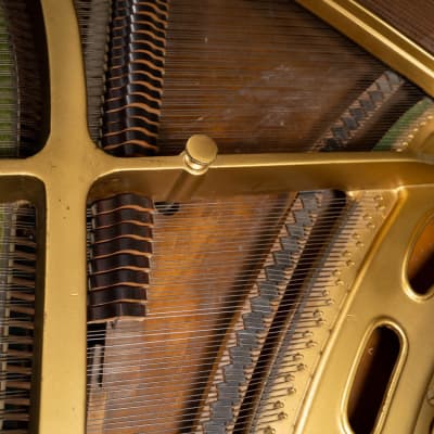 Kohler & Campbell Grand Piano | Satin Walnut image 5