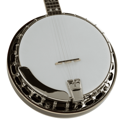 Recording King Songster Resonator Banjo RK-R20  5-String Tone Ring Closed Back image 3