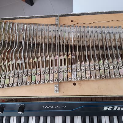 Fender Rhodes 73 image 7