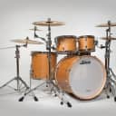 Ludwig Signet 4pc Shell Pack in Indian Teak