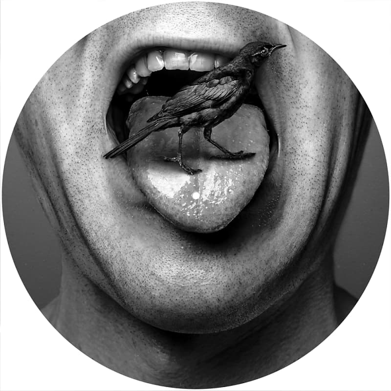 Slipmat Scratch Pad Felt for 12&quot; LP Record Player Vinyl DJ Turntable *Tweet or Eat  			