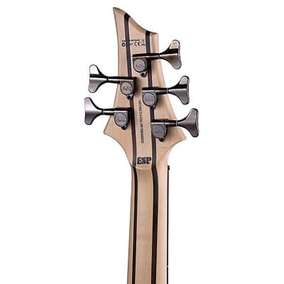ESP LTD B-205SM 5-String Bass(New) image 5