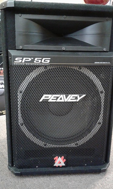 Peavey SP 5G 15