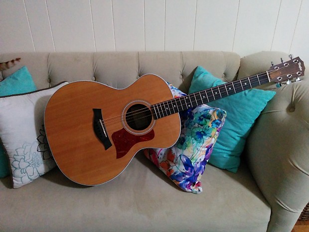 Taylor 214 g top