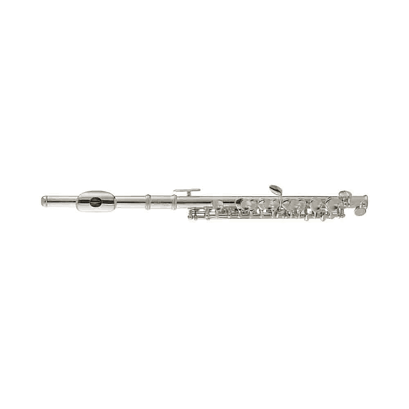 Stagg WS-PF211S Student C Piccolo with Case image 1