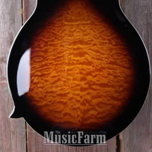 Samick MF1 Heritage Series F Style Mandolin with Hardshell