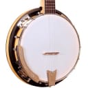 Gold Tone CC-100R: Cripple Creek Resonator Banjo