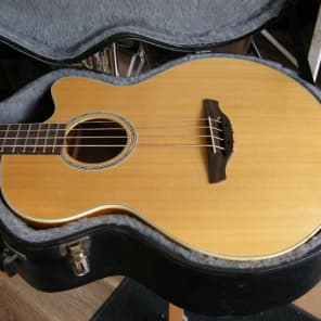 Takamine eg512cg cheap
