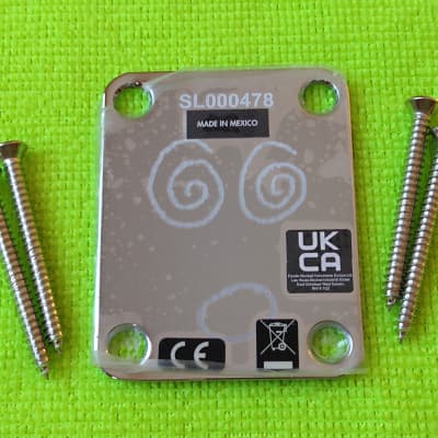 Fender Steve Lacy PEOPLE PLEASER Stratocaster Neck Plate image 1