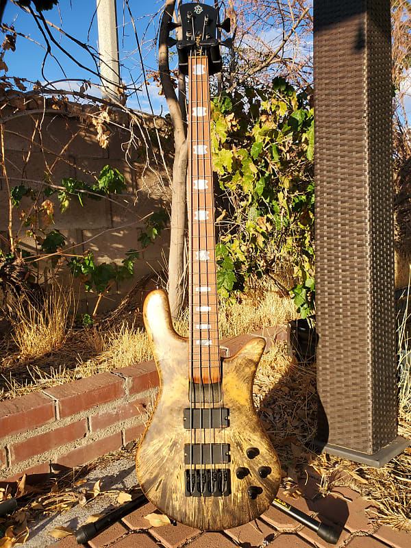 Spector NS-4H2 (NS4H2) Buckeye Burl Maple Bass Guitar with Hardcase