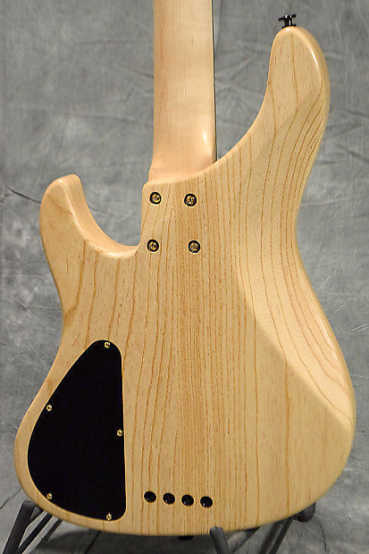 Bacchus Woodline 24 DX4AC | Reverb