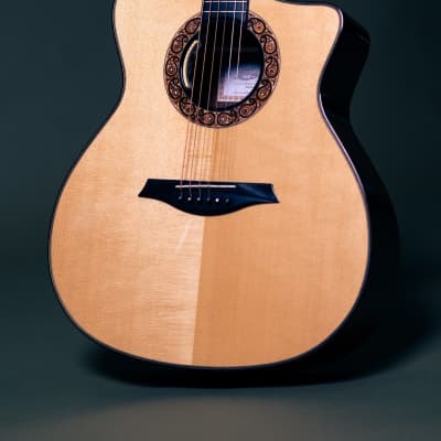 Mayson Duke Custom Acoustic Guitar - Grand Auditorium Cutaway w/ LR Baggs Anthem (MASTERBUILD) image 8
