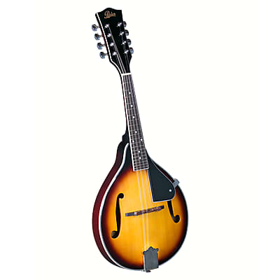 Rover RM-25S Student A-Style Mandolin with Solid Spruce Top image 1