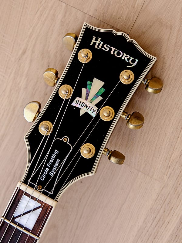 2003 FGN History Dignity ZLC-90 Black Beauty Custom Electric