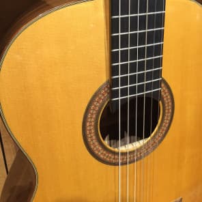 Martin C-TSH Martin-Humphrey Nylon Classical Elevated fingerboard rare & unique guitar image 3