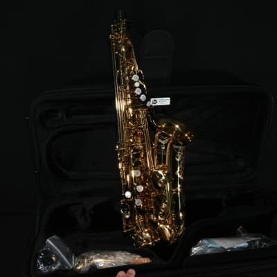 Eastman EAS650 Professional Alto Saxophone - Brass image 2