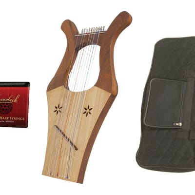 Kinnor Harp 2-Tone Color w/ Gig Bag & Extra Strings Set image 1