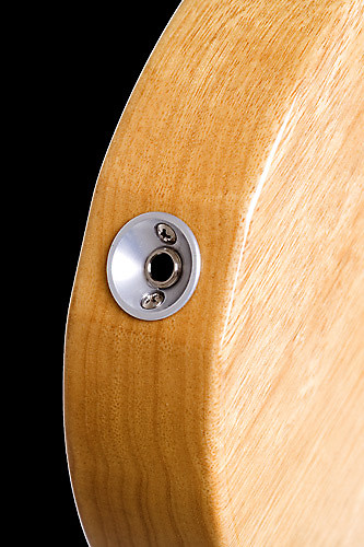 Telecaster jack shop