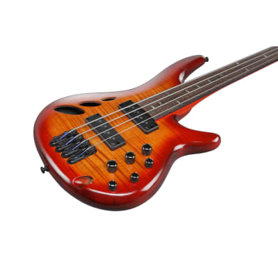 Mint Ibanez SRD900F SR Bass Workshop Fretless Bass, Brown Topaz Burst Low Gloss image 6