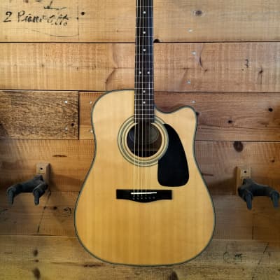 Fender DG-10 CE for sale