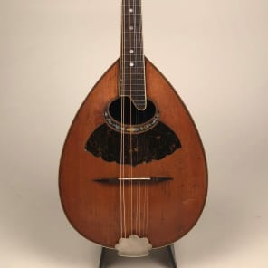 1920's S.S. Stewart Professional Birdseye Spruce & Mahogany Mandolin image 5