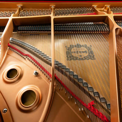 Yamaha GB1 Grand Piano w/ Disklavier | Polished Ebony | SN: J2321172 image 5