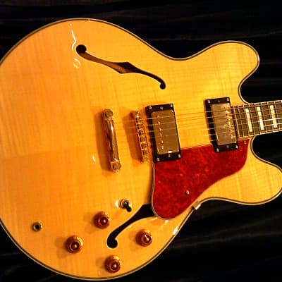 KARERA 335-Style Semi-Hollow Body Electric Guitar *BEAUTIFUL with WARM-TONE & *FREE Hard-Shell Case!!! image 6